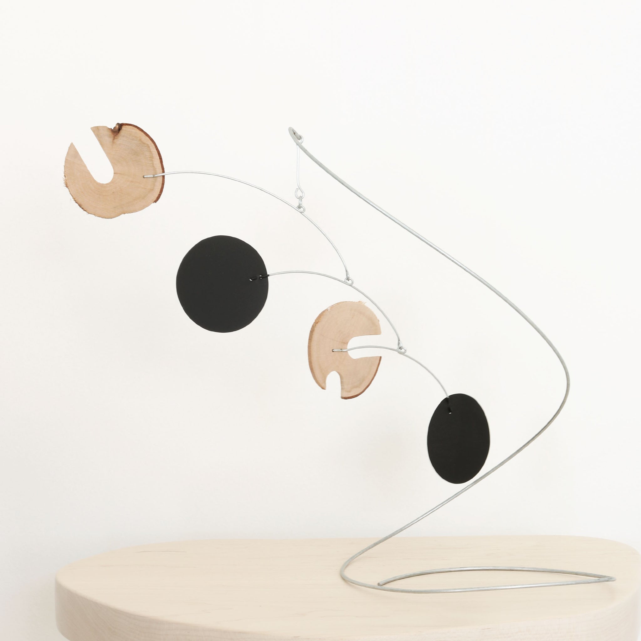SEEDY by Mark Leary